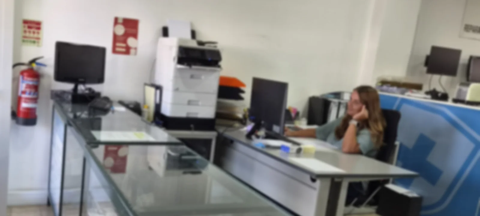 Interior da loja da Don Byte em Pero Pinheiro, com o balcão de atendimento