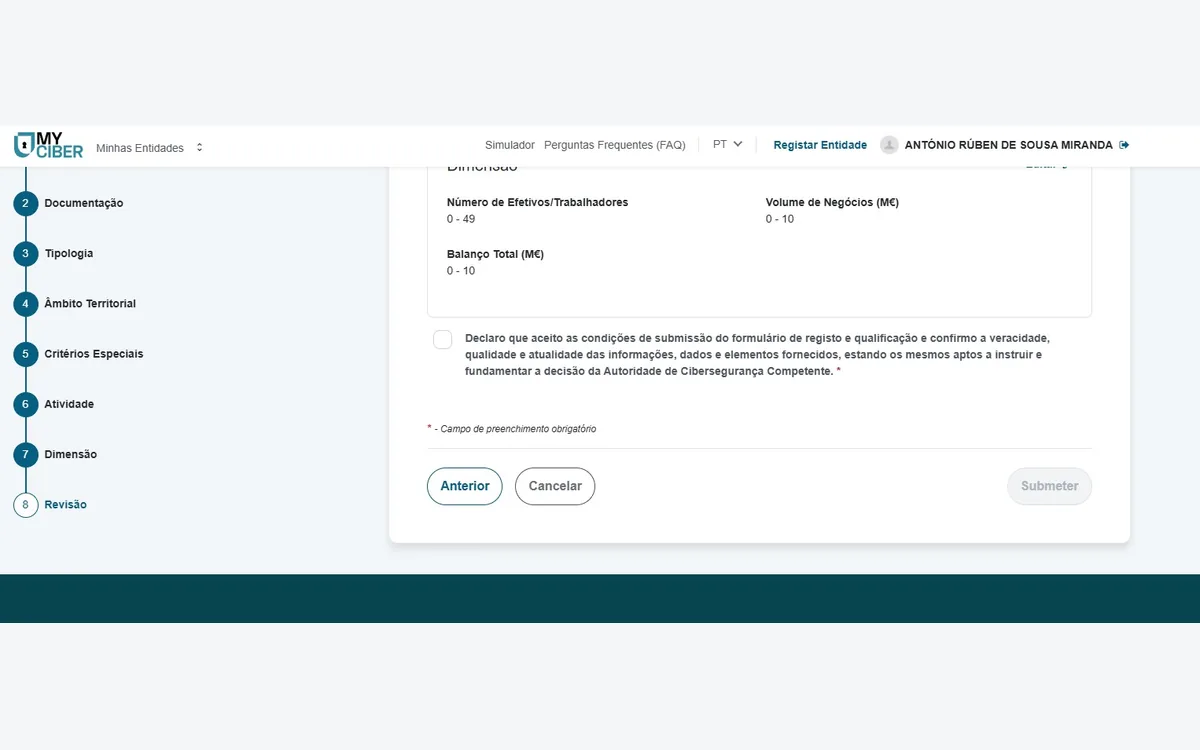 Etapa 8, Revisão, com a declaração de veracidade por aceitar